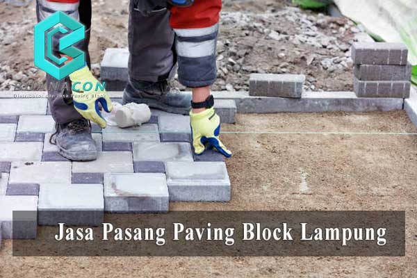 Jasa Pasang Paving Block Lampung